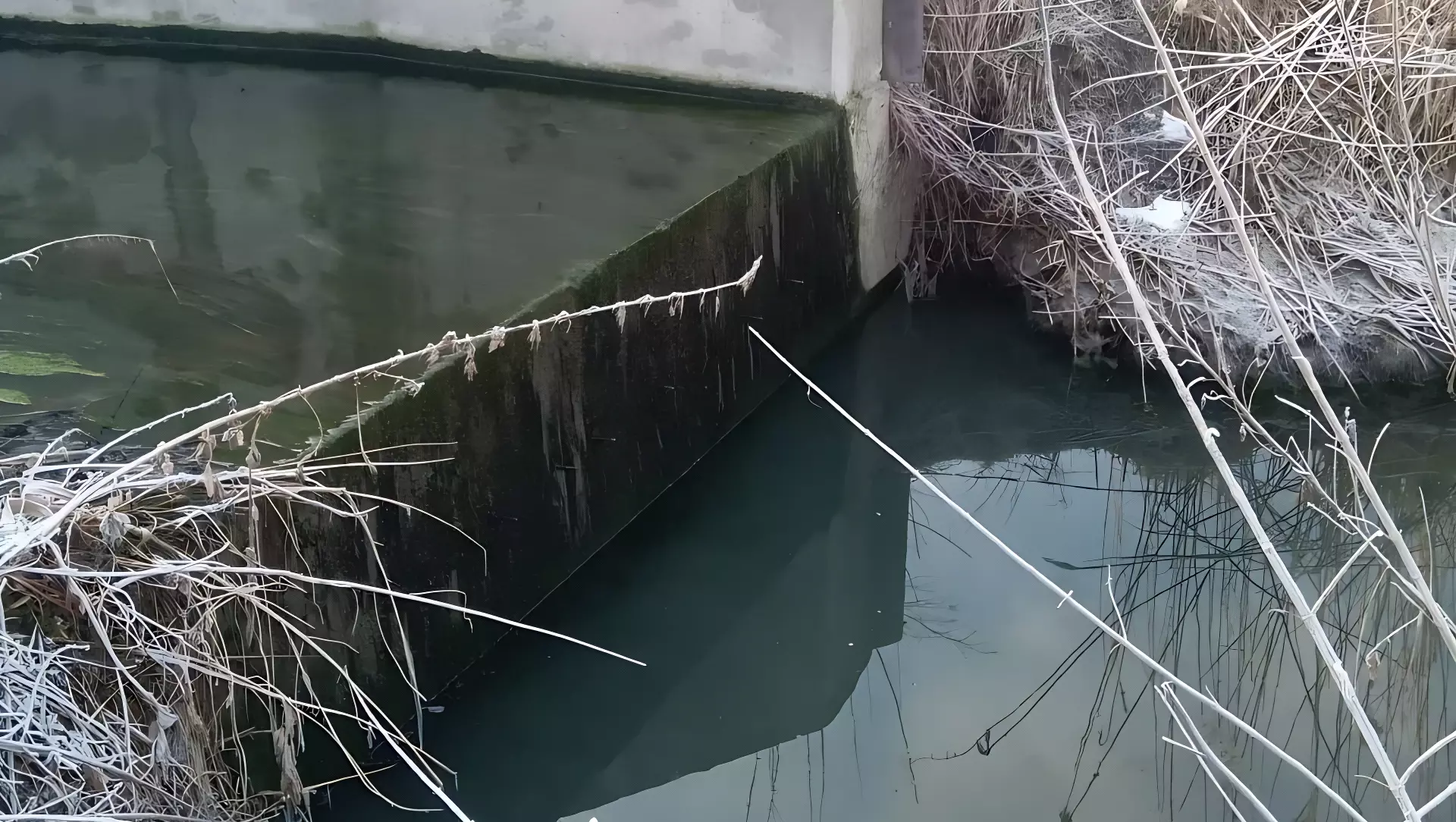 Росприроднадзор проведёт проверку после жалоб на сброс мутной воды в реку в Белгороде