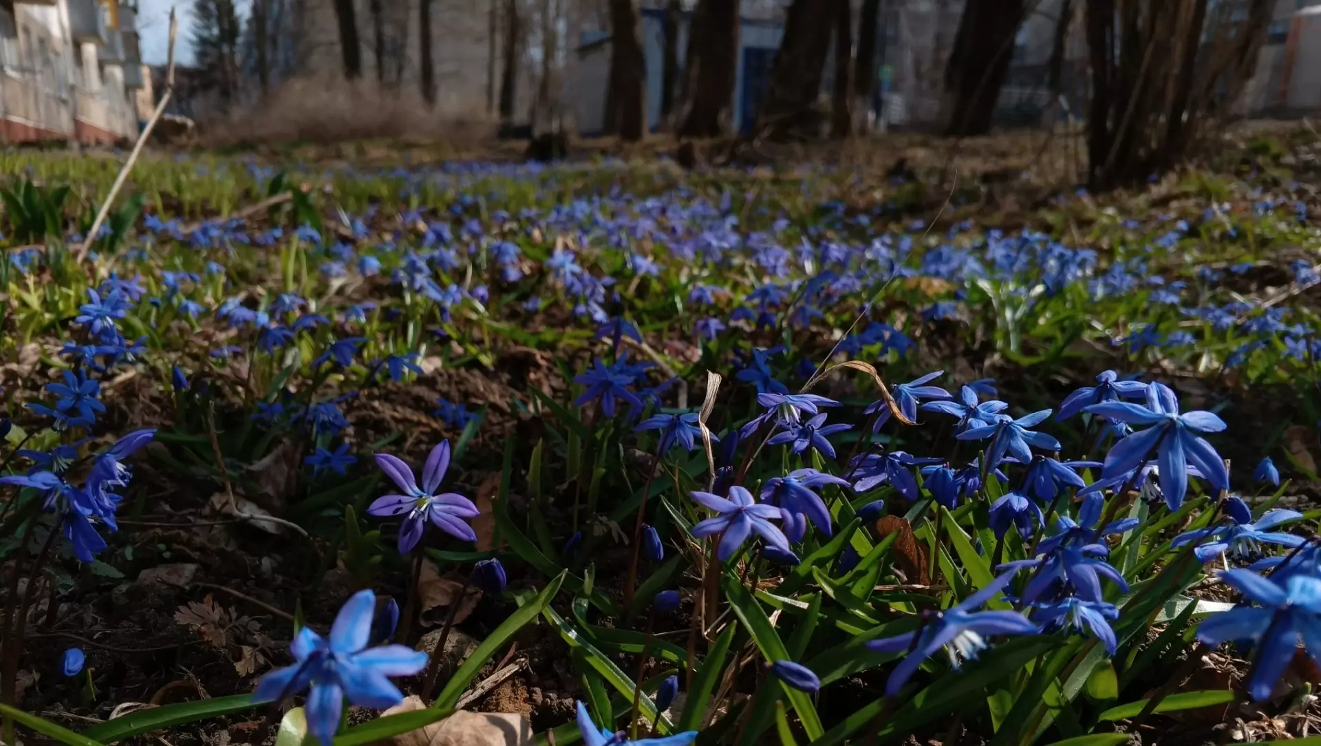 Весна в Белгороде