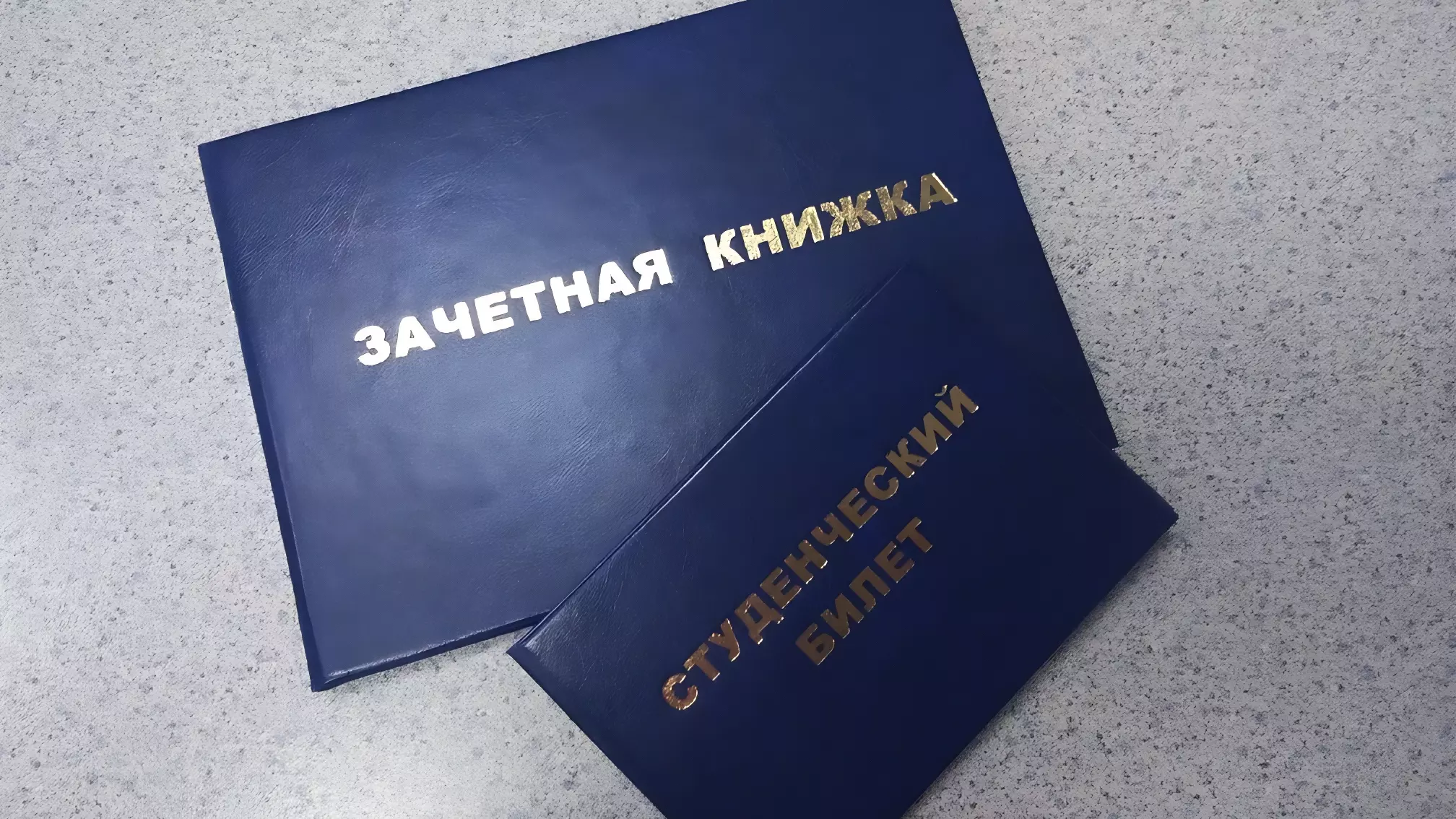 Белгородцы высказались о переводе студенческих билетов и зачёток в электронный вид